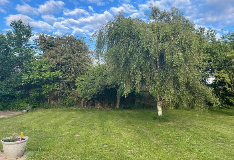 هتل Haymills Guesthouse