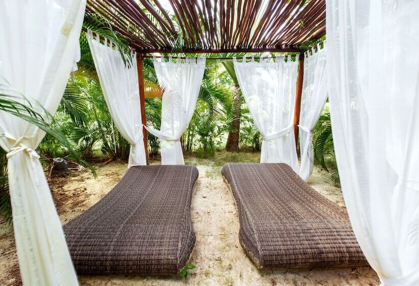 ホテル Tropicana Suites Deluxe Beach Club & Pool