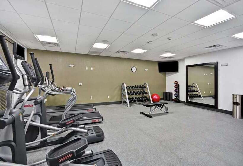 בית מלון כפרי Hilton Garden Inn Houston Hobby Airport, Tx