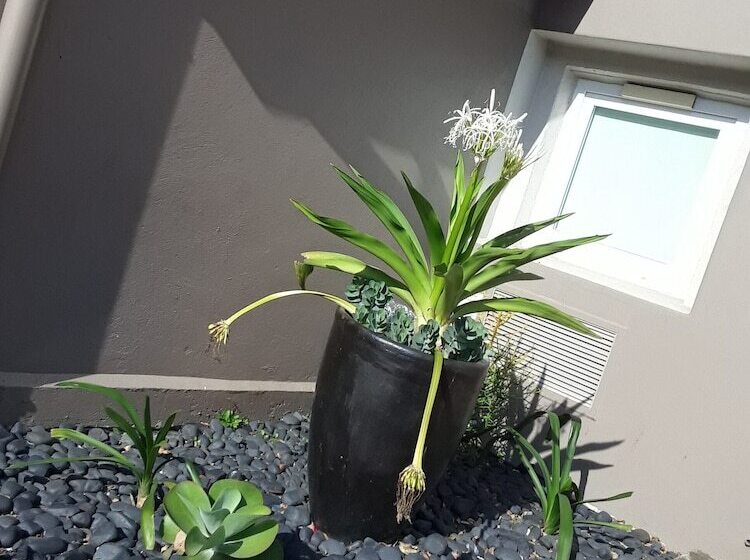 בית מלון כפרי Sun1 Durban