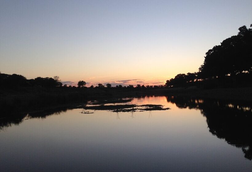فندق The Baobab Bush Lodge, No Self Catering