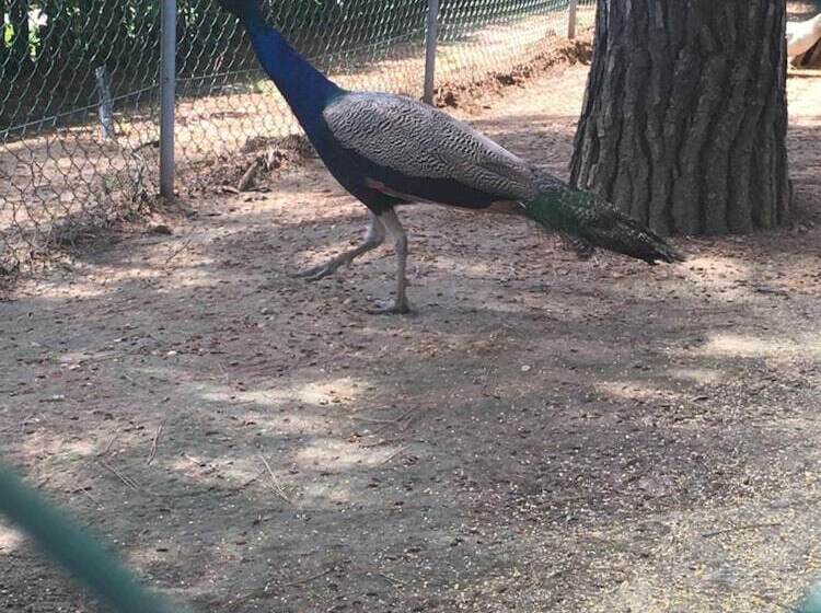 فندق Villa Silvio