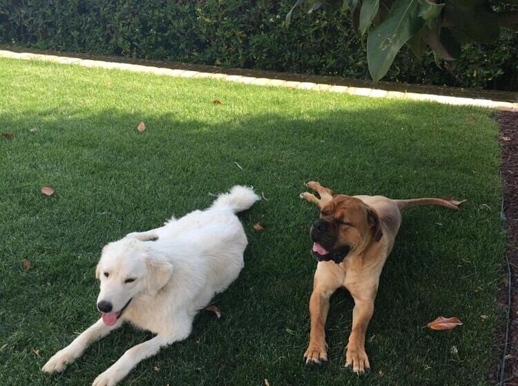 فندق Villa Silvio