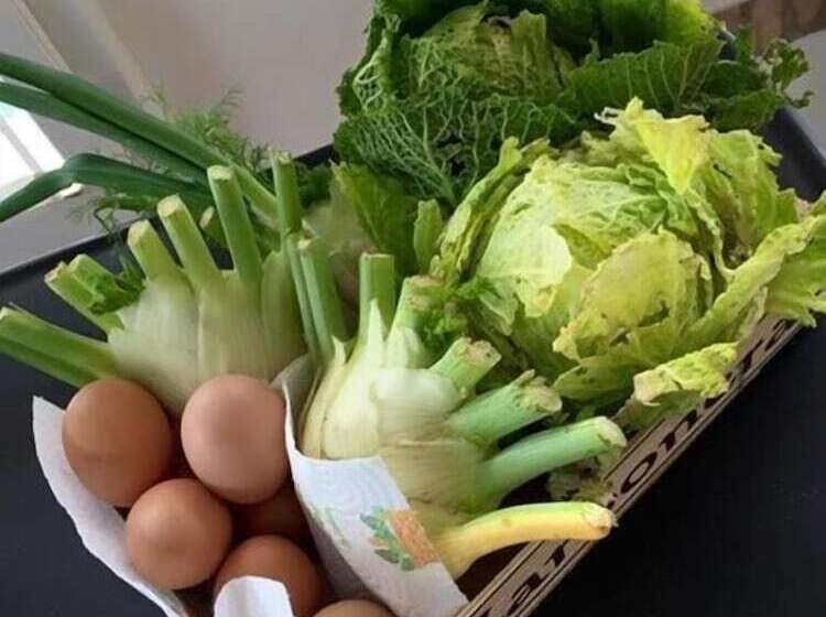 فندق Villa Silvio