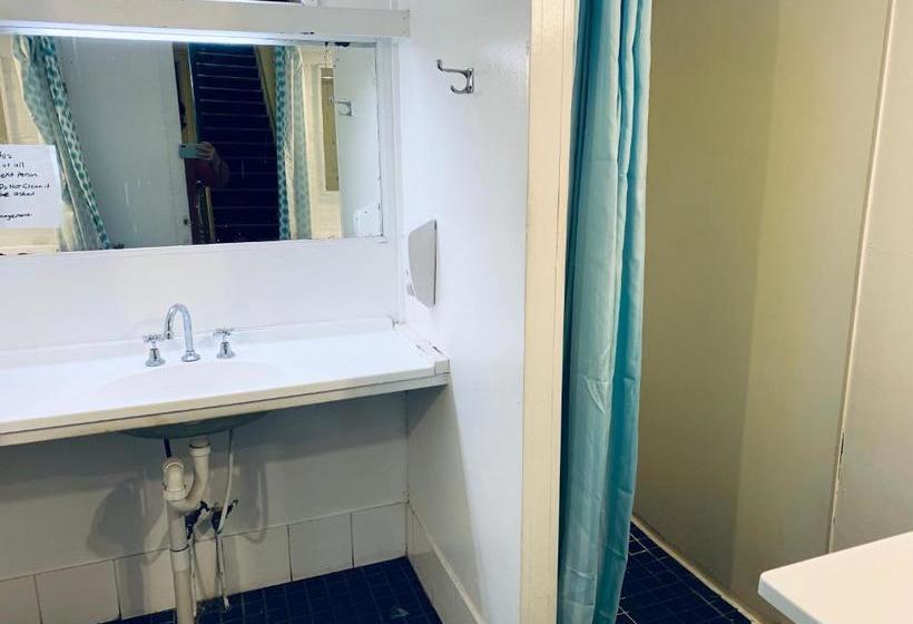 فندق Yellow Submarine Backpackers