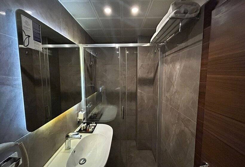 酒店 Reikartz 2017