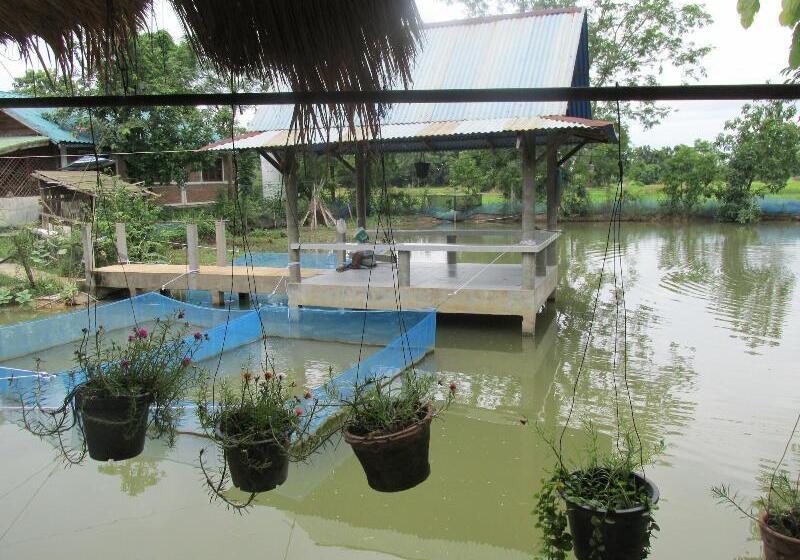 בית מלון כפרי Mountain View Guest House