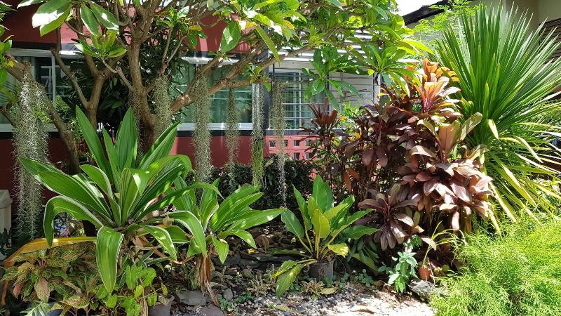 هتل Pakdee House