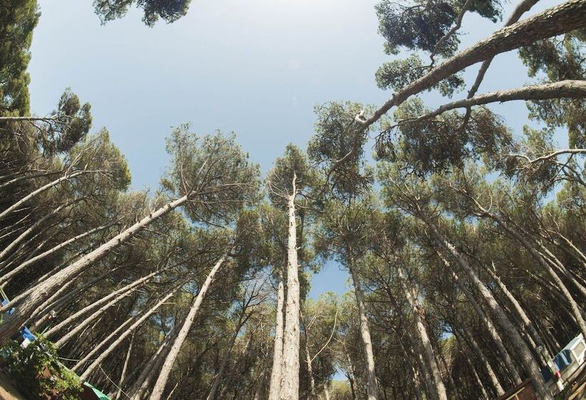 هتل Camping Village Mare Pineta