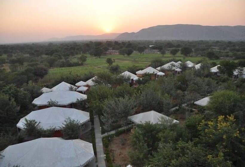 Achrol Bagh