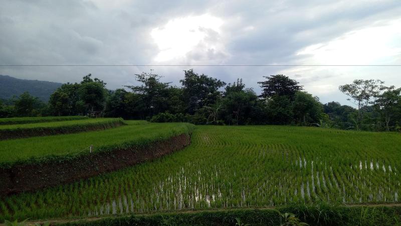 민박 Swar Bali Lodge