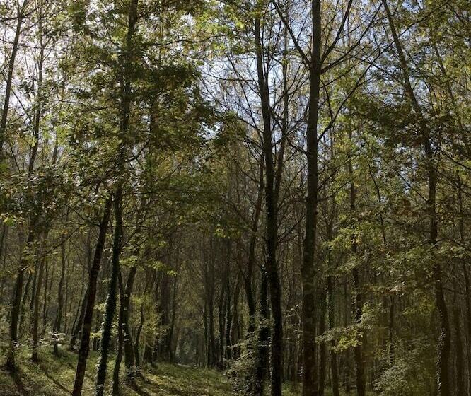 בית מלון כפרי Le Torri