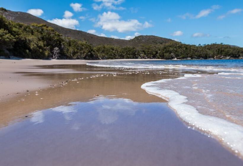 فندق Southwest Wilderness Camp   Tasmania