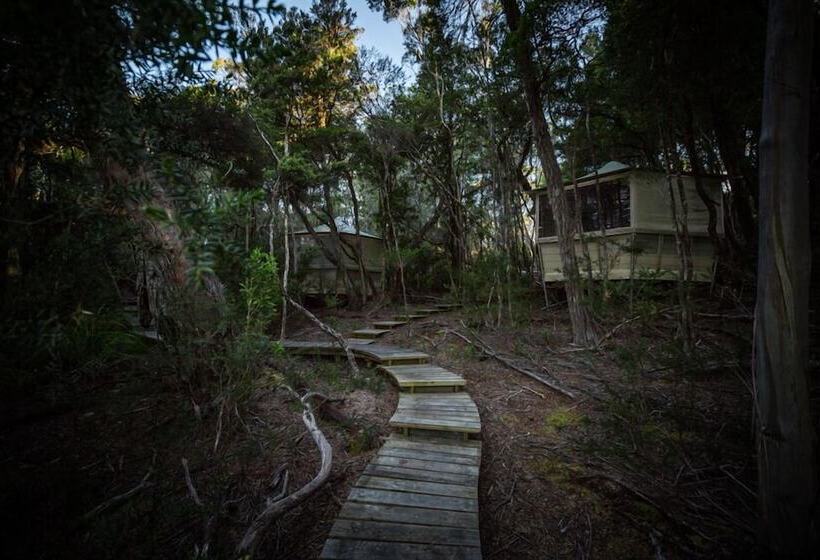 בית מלון כפרי Southwest Wilderness Camp   Tasmania