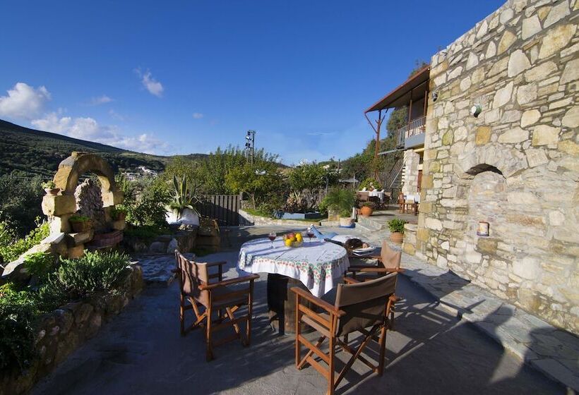 Villa Olive Tree