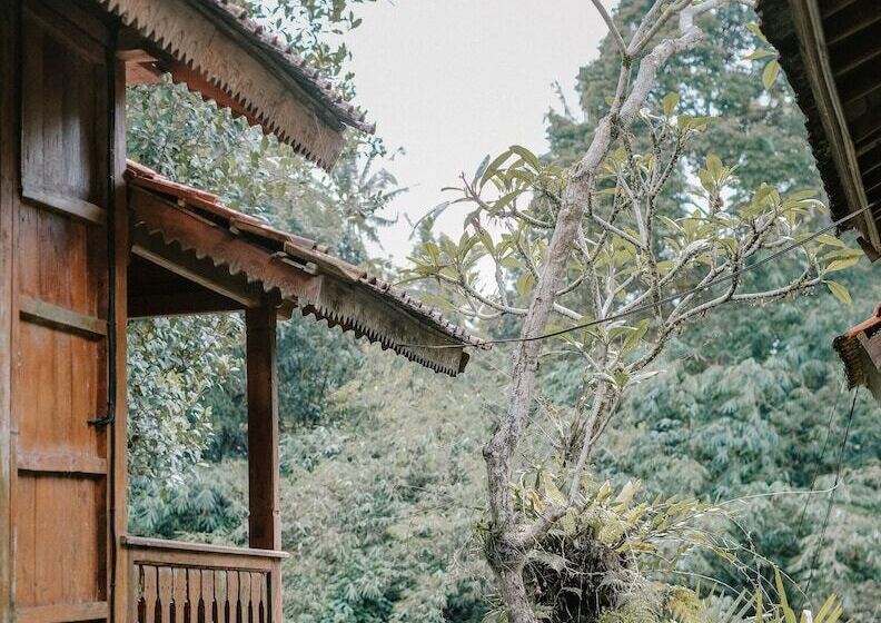 민박 Song Broek Jungle Resort