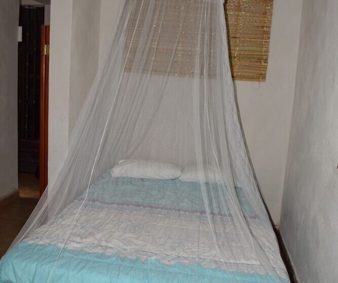 Camping Hostal El árbol De La Vida   Hostel