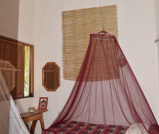 Camping Hostal El árbol De La Vida   Hostel