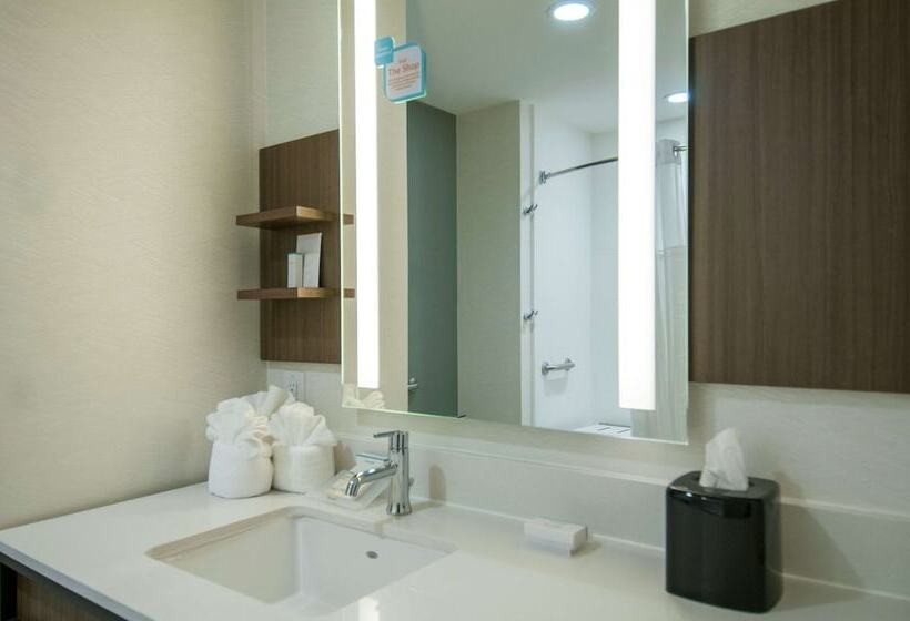 בית מלון כפרי Hilton Garden Inn Jackson/clinton