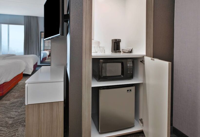 호텔 Springhill Suites By Marriott Chattanooga North/ooltewah