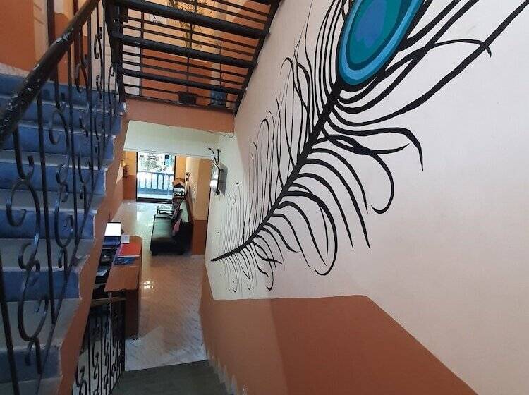 پانسیون Casa Almeida