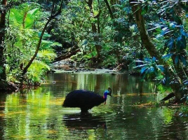 Egrets Rest