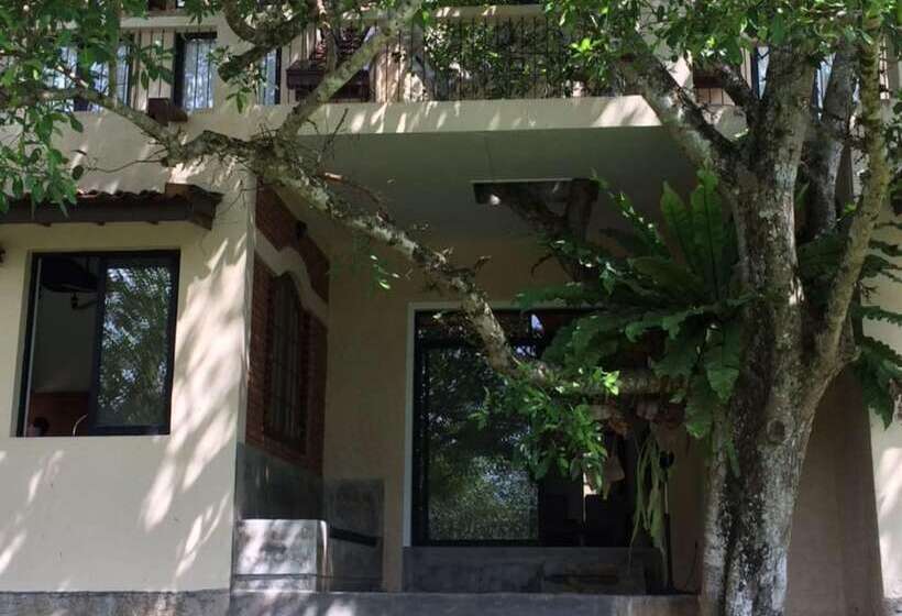 膳宿费 Villa Attikka