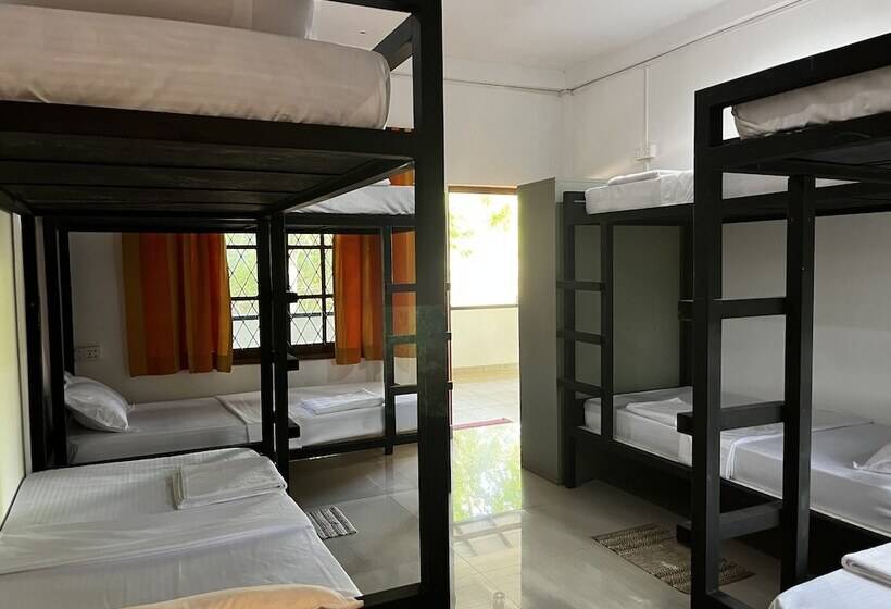 ユースホステル Funky Leopard Safari Lodge Bordering Yala National Park