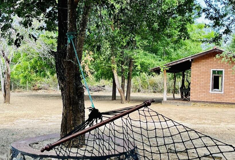 ユースホステル Funky Leopard Safari Lodge Bordering Yala National Park