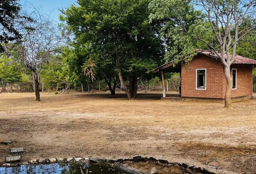 ユースホステル Funky Leopard Safari Lodge Bordering Yala National Park
