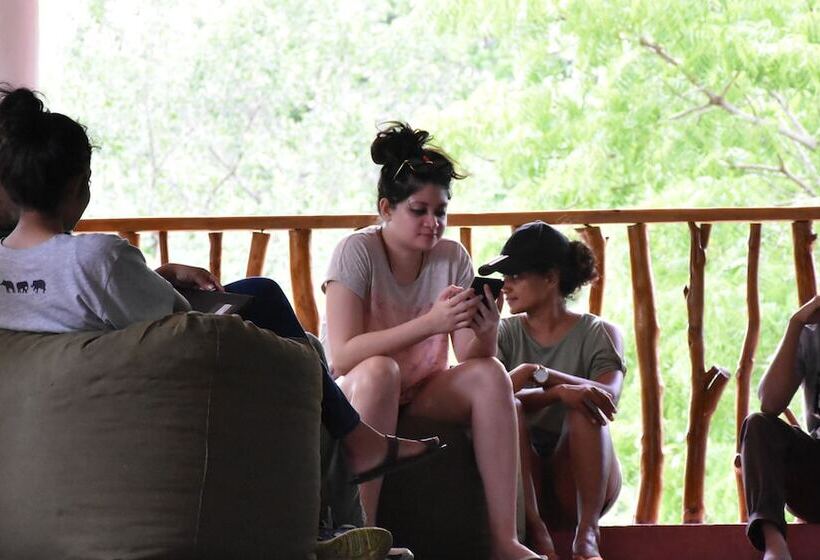 ユースホステル Funky Leopard Safari Lodge Bordering Yala National Park