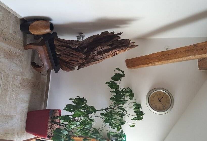 هتل House Of Roses