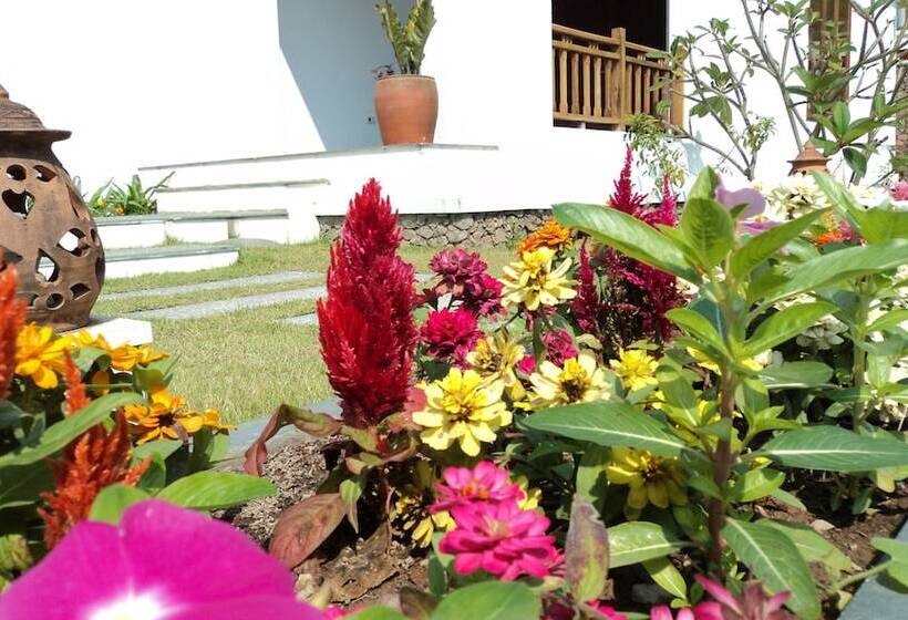 هتل Le Grand Pakbeng