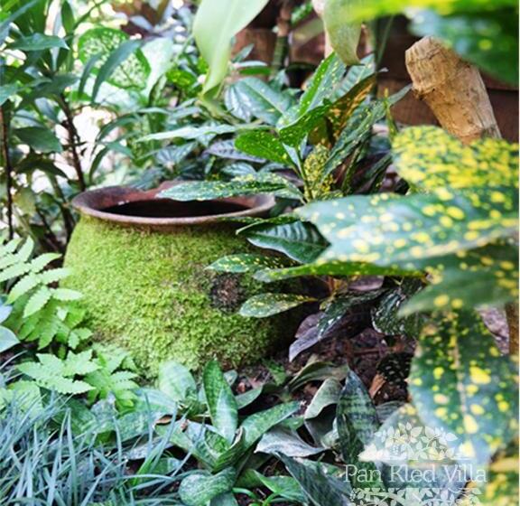 هتل Pan Kled Villa Eco Hill Resort   Sha Extra Plus