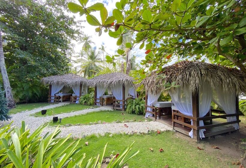 ホテル Ducassi Suites Rooftop Pool Beach Club & Spa