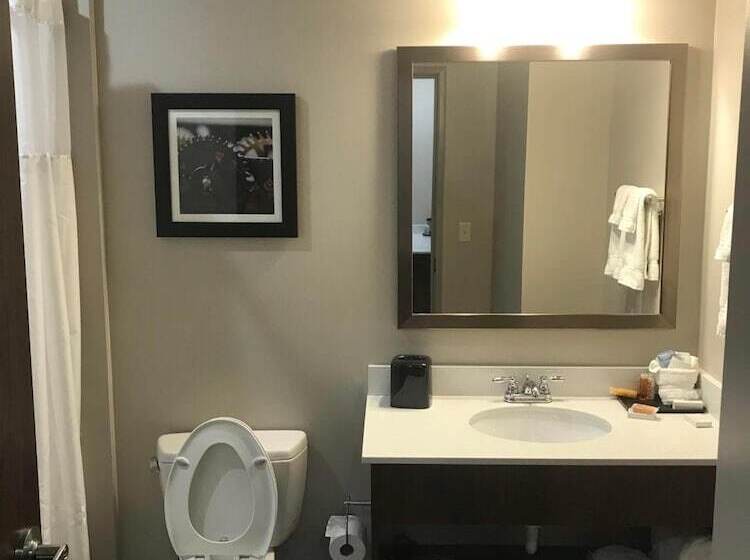 فندق The Mulberry