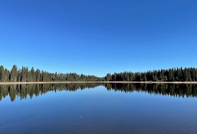 汽车旅馆  Schott’s Lake Conference & Resort