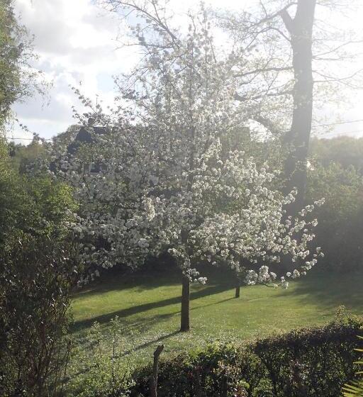 پانسیون Au Charme Du Lac Piscine Chauffé Proche Parc Et Restaurant Du Casino