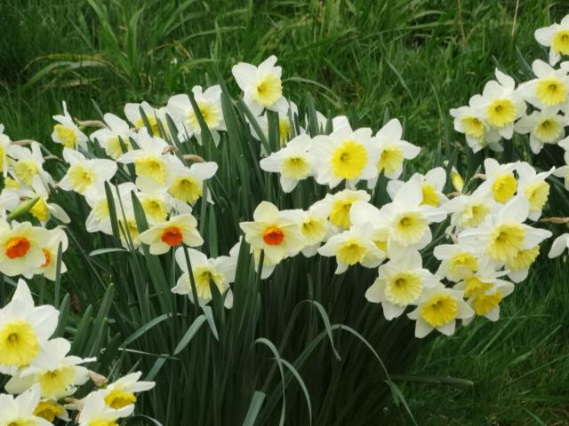 膳宿费 Chambres D Hôtes  Moulin Du Couedic