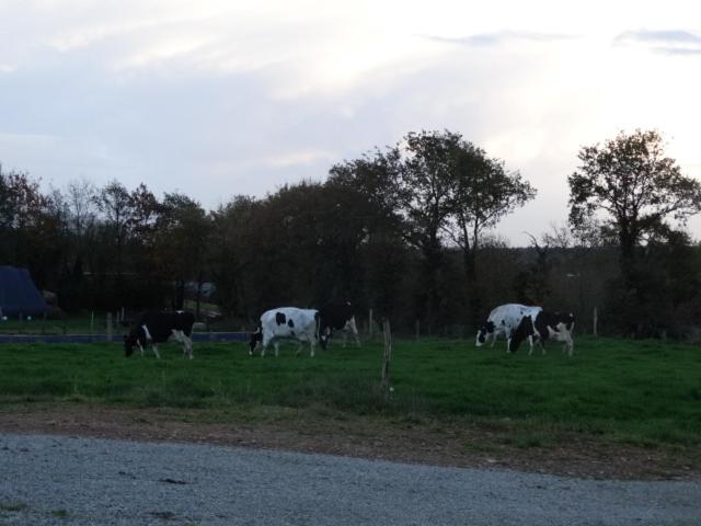 膳宿费 Chambres D Hôtes  Moulin Du Couedic