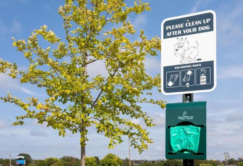 בית מלון כפרי Candlewood Suites   Rochester Mayo Clinic Area