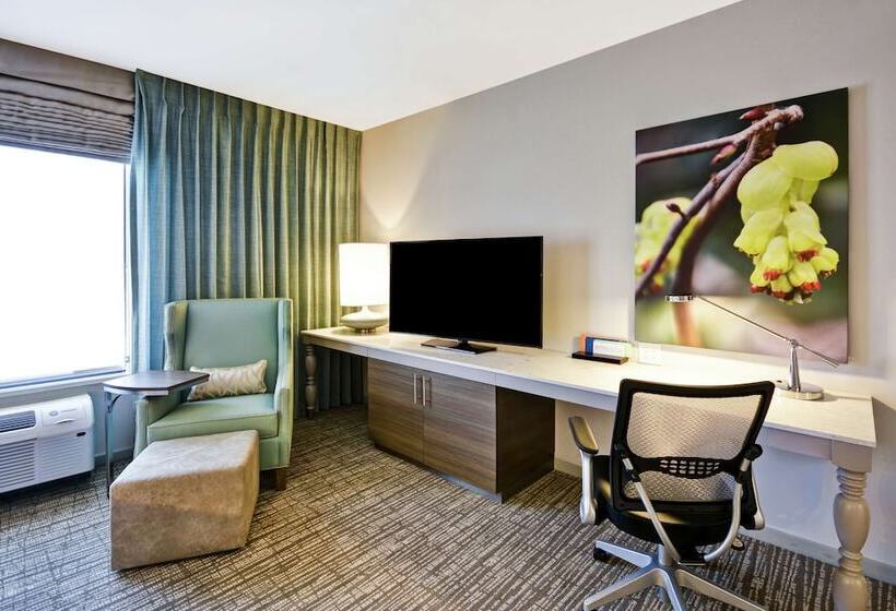 בית מלון כפרי Hilton Garden Inn Gastonia