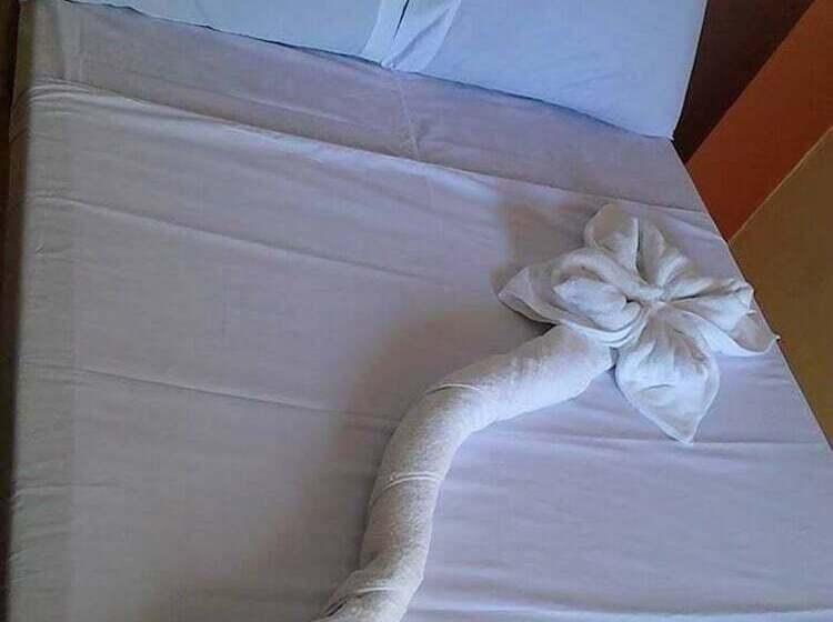 بنسيون N & F Guest House