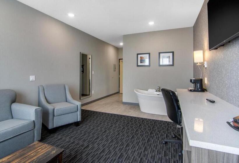 هتل Comfort Inn & Suites
