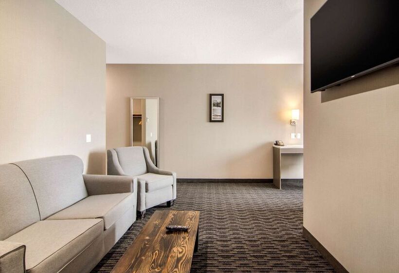 هتل Comfort Inn & Suites