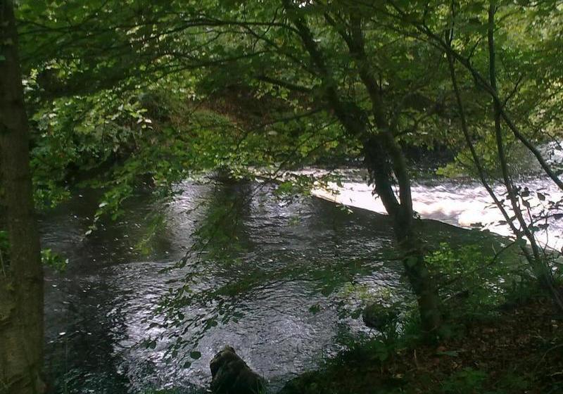 צימר St. Bridget's