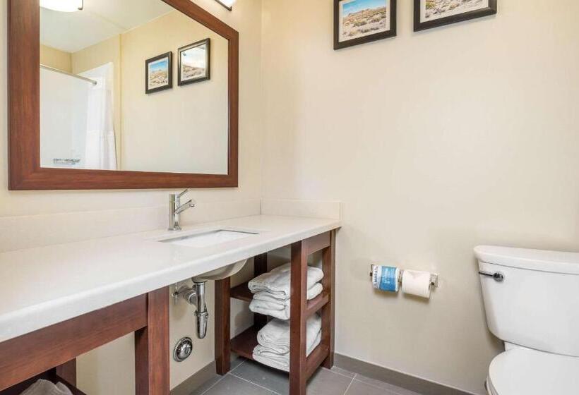 בית מלון כפרי Comfort Inn Tonopah