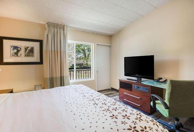 酒店 Fairmount Inn & Suites   Stroudsburg, Poconos
