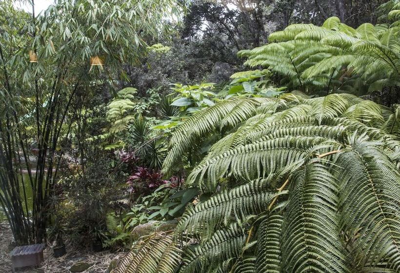 אתר נופש Chalet Kilauea