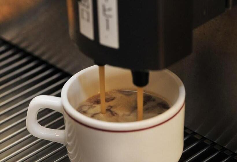 בית מלון כפרי Paco Obihiro Chuo